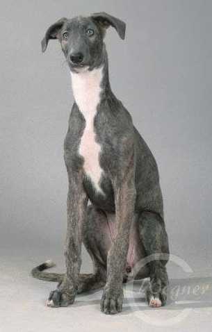 Was macht Die da bloss?  Alter 3 1/2 Monate