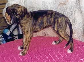 Na, klappt doch schon ganz gut. 3 Wochen