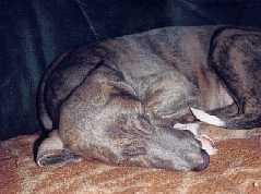 spielen macht ja so m�de.