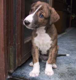 Ob es da drau�en sch�n ist. Foto: H.Demacker