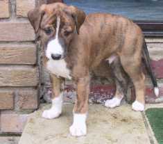 Bis hier bin ich schon mal. Foto: H.Demacker