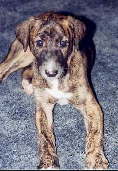 Ich bin schon gro� - 3 Wochen