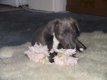 Spiel auf dem Teppich 3 Wochen Foto: H. Demacker